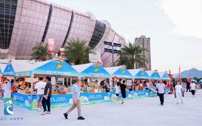 ”！苍南豪取十连胜！瓦利棋牌燃爆“浙BA(图1)